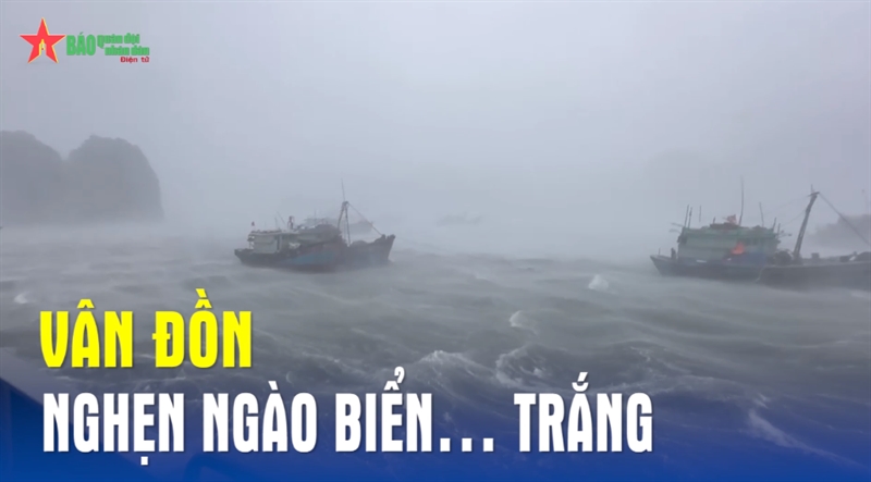 Vân Đồn nghẹn ngào biển… trắng