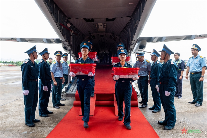 Chuyến bay mang theo ký ức những mùa hoa lửa